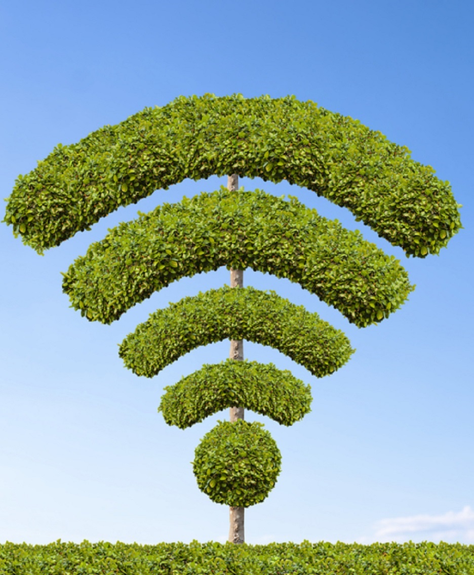 why choose Japelink Technologies